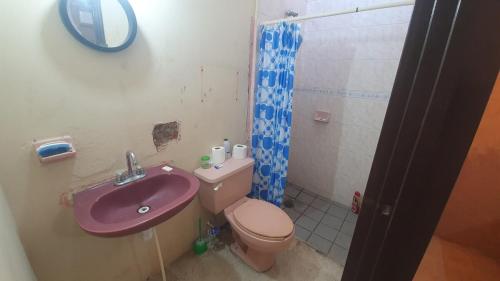 ein Badezimmer mit einer rosa Toilette und einem Waschbecken in der Unterkunft Casa céntrica, segura y sencilla in Culiacán Rosales