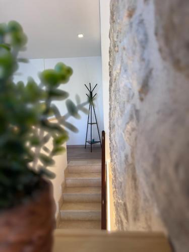 a stairway with a plant and a windmill in the background at Can Sablet in Horta de San Joan