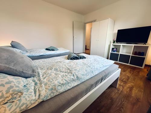 TV a/nebo společenská místnost v ubytování FeWo Lindenallee IV Stilvolles Apartment