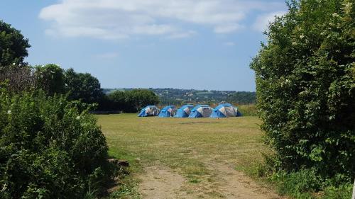 a group of blue tents in a field at Jersey Accommodation and Activity Centre in Gorey