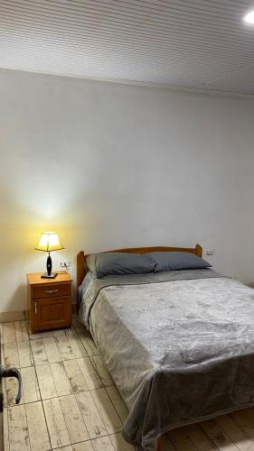 ein Schlafzimmer mit einem Bett und einer Lampe auf einem Nachttisch in der Unterkunft San vicente misiones in San Vicente