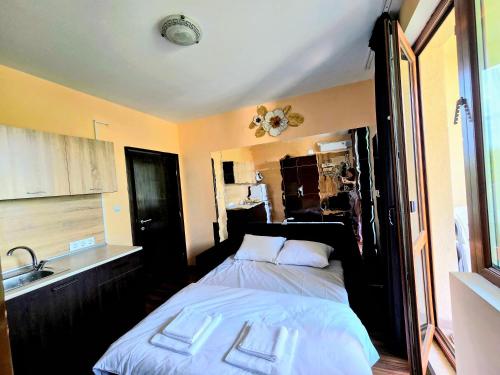 1 dormitorio con 1 cama y lavamanos. en Апартамент- Студио Кокетно, en Sandanski