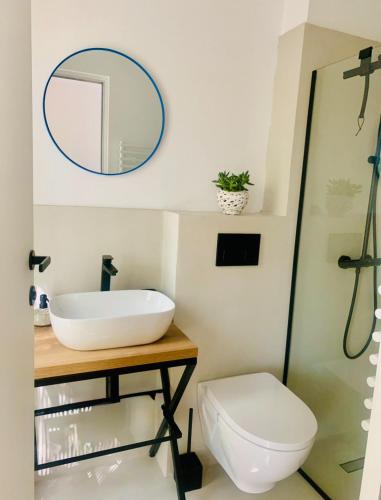 a bathroom with a sink and a toilet and a mirror at Enache's 217 in Valea lui Enache
