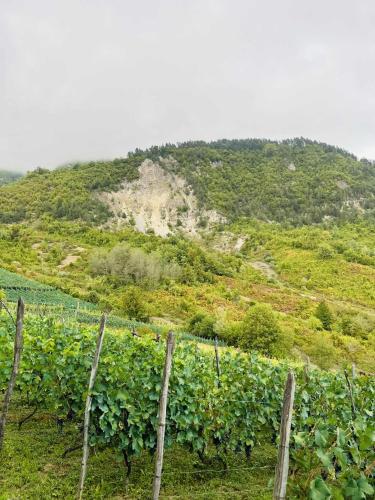 Paisaje cerca de esta villa