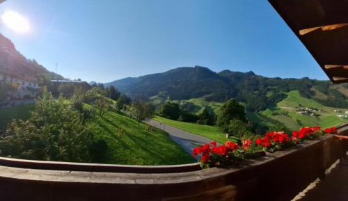 a view of a valley with red flowers on a wall at Haus Panorama in Gerlosberg