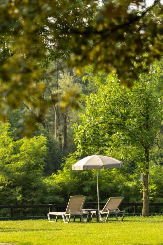 two chairs and a table with an umbrella in the grass at Hotel Il Corazziere in Merone