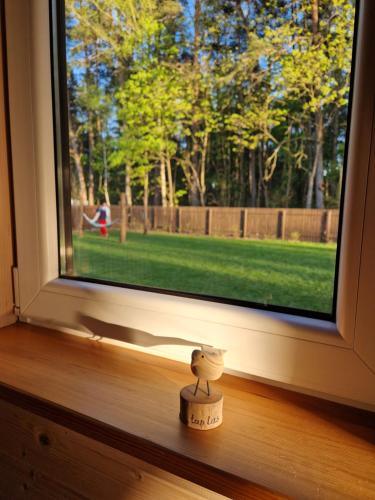 a window with a view of a park at Łap Las Pelnik in Pelnik