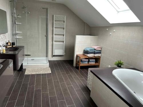 a bathroom with a sink and a tub and a shower at La maison du Gouty in Froid-Chapelle