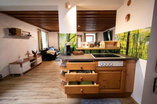 eine Küche mit Holzschränken und einem Herd mit Backofen in der Unterkunft Waldviertel-Auszeit 