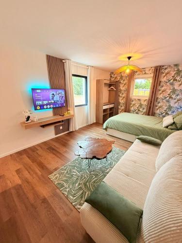 Μια τηλεόραση ή/και κέντρο ψυχαγωγίας στο Studio with private spa, close to golf and lake