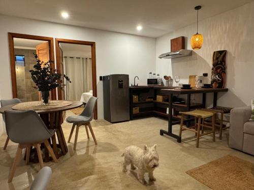 Imagine din galeria proprietății Bahia Selvatica Lodge în Uvita