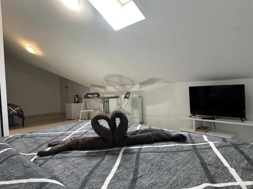 a room with a heart laying on a bed at Vila ANA in Cluj-Napoca