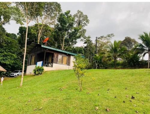 a small house in a field with a green yard at Quinta de Montaña, San Carlos in Vara Blanca