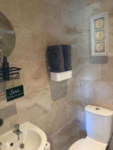 a bathroom with a white toilet and a sink at Daisys Rest in Redcross