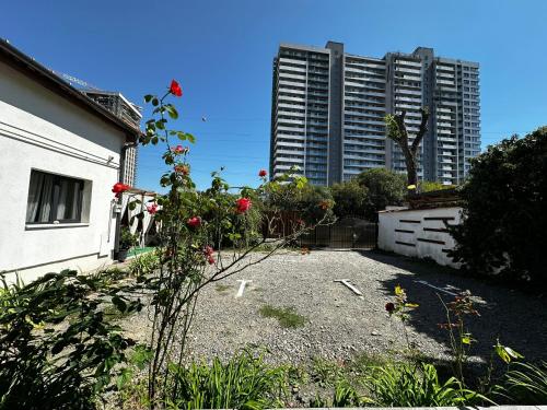 a garden in front of a building with a building at Vila ANA in Cluj-Napoca