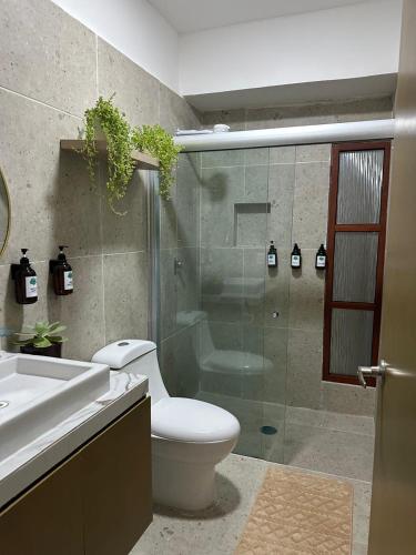a bathroom with a toilet and a shower and a sink at Coral Loft in Antón Lizardo