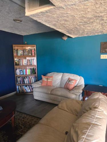 a living room with a couch and a book shelf at La Casa delle Pesche in Georgetown