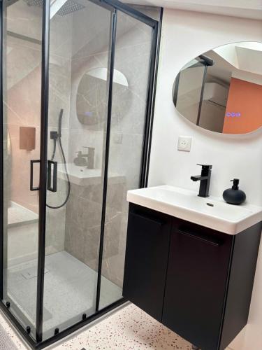 un baño con ducha y lavabo en Charming apartment!, en Castillon-Savès