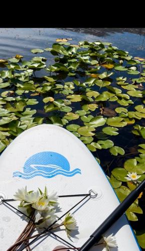 a boat in the water with flowers on it at Aloha House in Shkodër