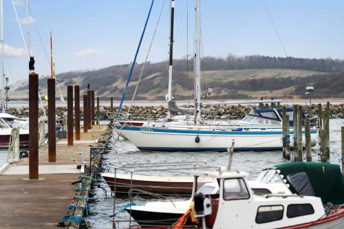 a group of boats are docked in a marina at G261-Lemvig-Vinkelhagevej-161 in Lemvig