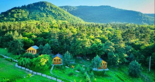 an aerial view of a forest with houses and trees at Eco Park Resort in Stepanavan Dendropark in Gyulagarak