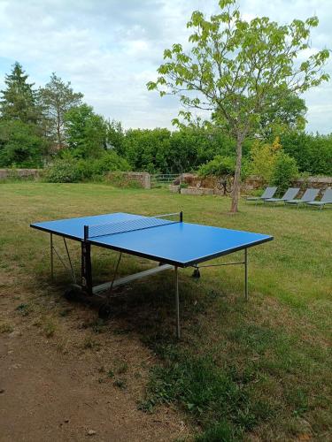 a blue ping pong table in the middle of a field at La Renardière in Chènesaint