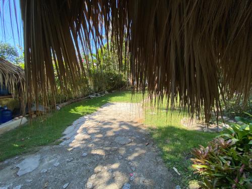 a path under a palm tree in a yard at Surfbreak B&B in Cabarete