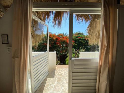 an open door to a patio with a palm tree at Surfbreak B&B in Cabarete