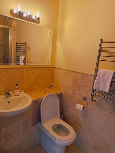 a bathroom with a toilet and a sink and a mirror at The Old Hunting Lodge at The Talbot Inn in Tenbury