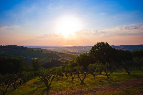 a sunset over a field with trees on a hill at Le Orchidee Villa in Roncofreddo