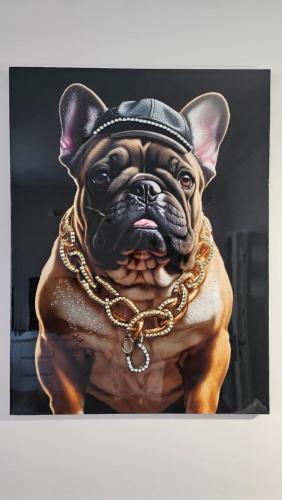 Domácí mazlíčci ubytovaní s hosty v ubytování Golden Key 35m2 przy Mariacka blisko Spodek, MCK, Self check-in, Parking