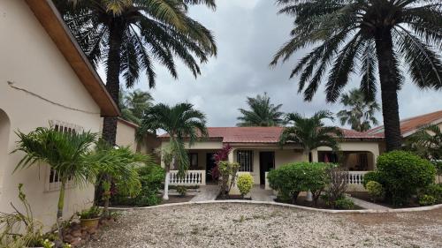 a house with palm trees in front of it at Ocean Walk Guesthouse in Trankill