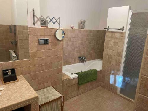 a bathroom with a tub and a shower and a sink at La Casa del Lago in Mesones
