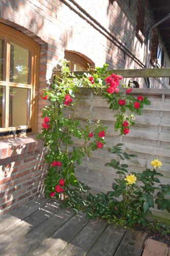a bunch of flowers on the side of a building at Hofgut Wollin GmbH in Putgarten