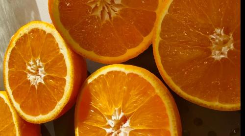 Billede fra billedgalleriet på 537 Saint Emilion - Luxury Guest House i Saint-Laurent-des-Combes