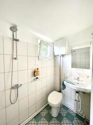 a bathroom with a toilet and a sink at Lake House in Vadu Crişului