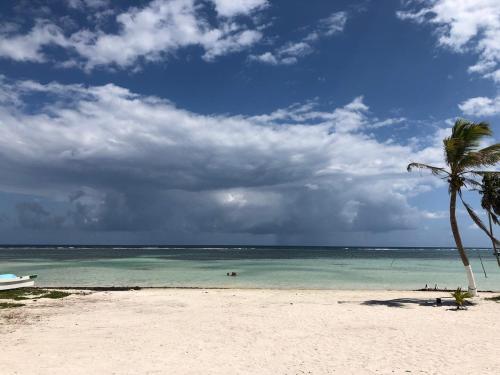 a beach with a palm tree and the ocean at Casa Atún Mahahual, vista al Mar Caribe in Mahahual