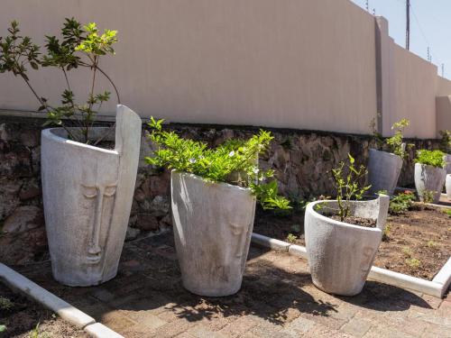 a row of concrete planters with plants in them at Seagull Villa in Margate