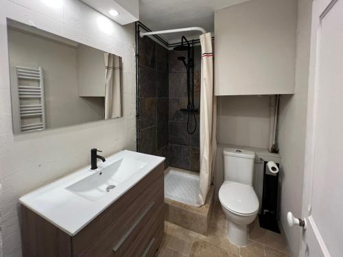 Koupelna v ubytování Appartement 1er étage dans maison de maître