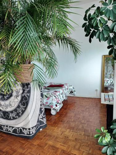 sala de estar con maceta y sofá en Maré Bela, en Almada