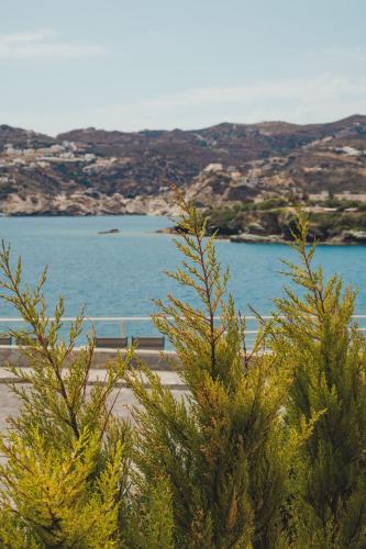 two trees in front of a body of water at Peninsula Resort & Spa in Agia Pelagia