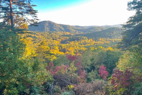 a view of a forest of trees in the fall at Blue Ridge Delight in Clayton