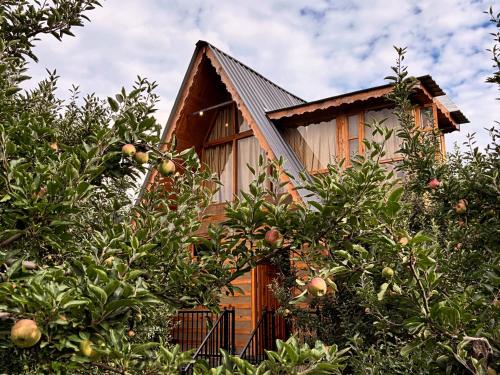 a house surrounded by trees with apples at Applehill Stays - Work & Relax in Kulu