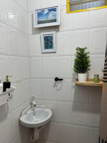 a white bathroom with a sink and a plant at Home sweet house in Zanzibar City