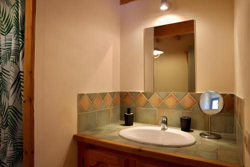a bathroom with a sink and a mirror at Campagne de Pré Grand in Saint-Étienne-les-Orgues