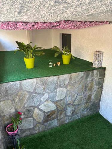 a model of a house with plants on a wall at Central House in kastraki in Mesochórion