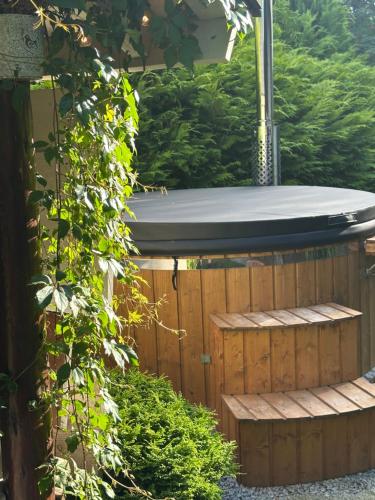 Afbeelding uit fotogalerij van Chata Lawendowa in Sasino