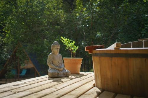 a statue sitting on a table next to a potted plant at Ecos del Manantial in Villarrica