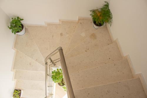 an overhead view of a staircase with potted plants at The Horizon in Berat