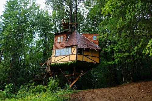 Afbeelding uit fotogalerij van TREE HOUSE with 850 feet ZIP LINE 